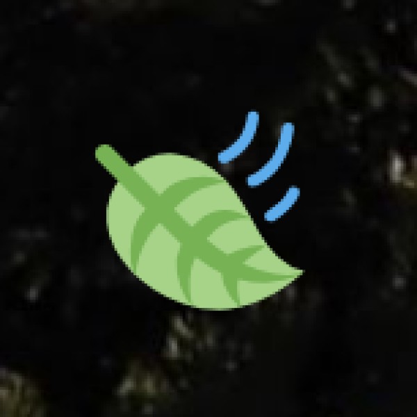 Why Visit Kerala in Monsoon?