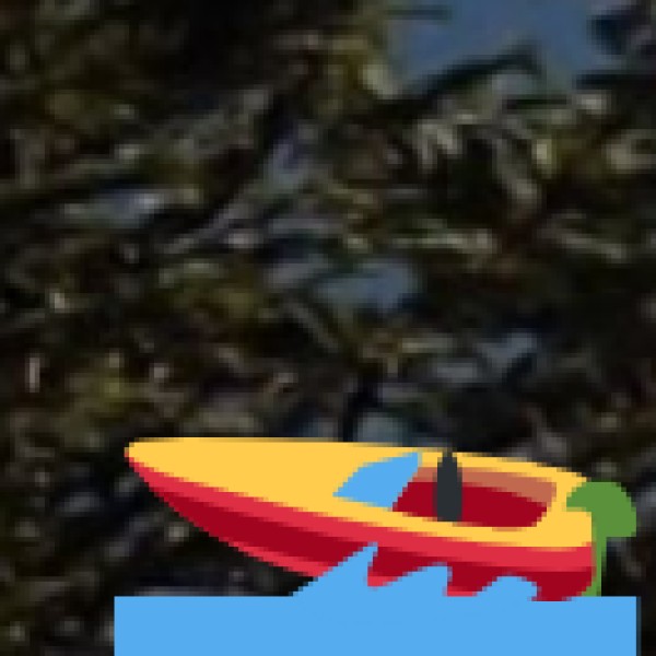 Chilika Lake (Puri–Ganjam–Khordha Districts)