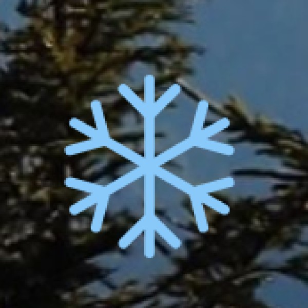 • Naida Caves (Diu):