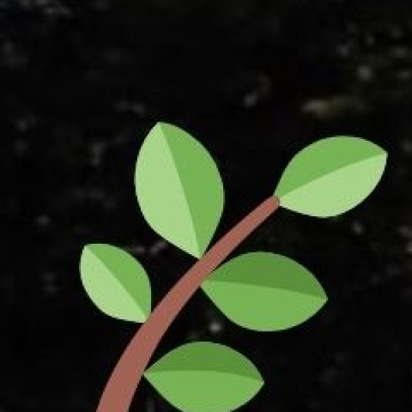 Chikhaldara – Maharashtra’s Only Coffee-Growing Region