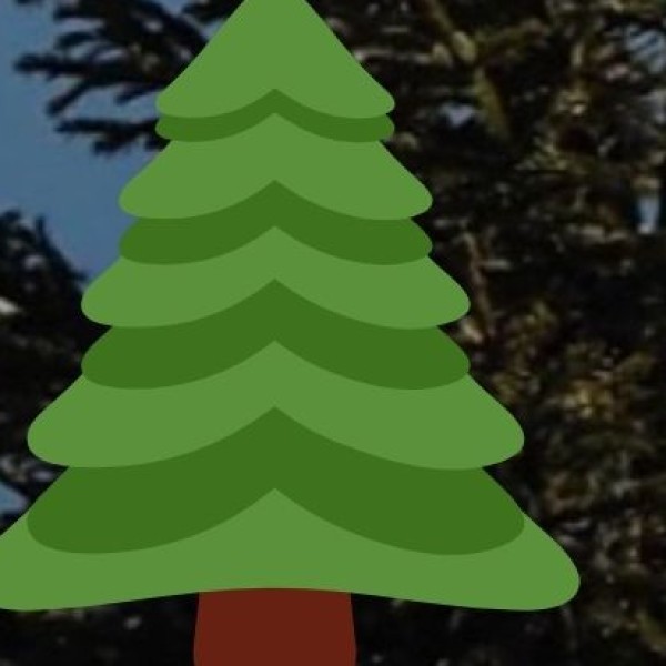 Himalayan & Hill Station Tourism