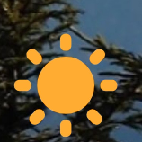 Top Attractions in Bomdila: