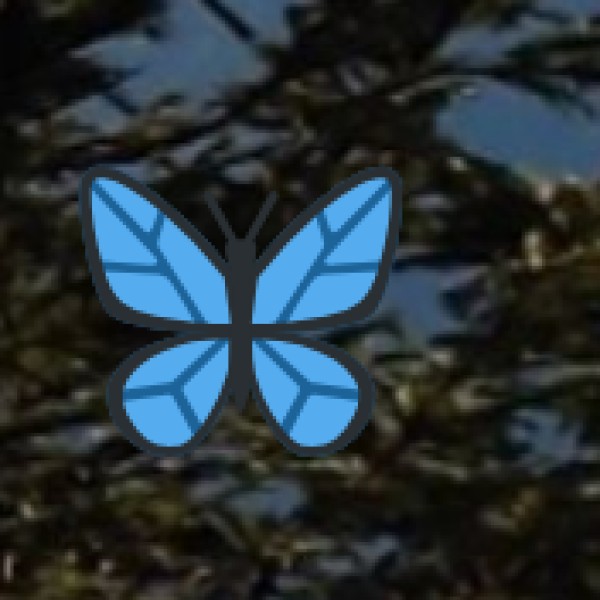 Why Explore Telangana’s Hill Stations?