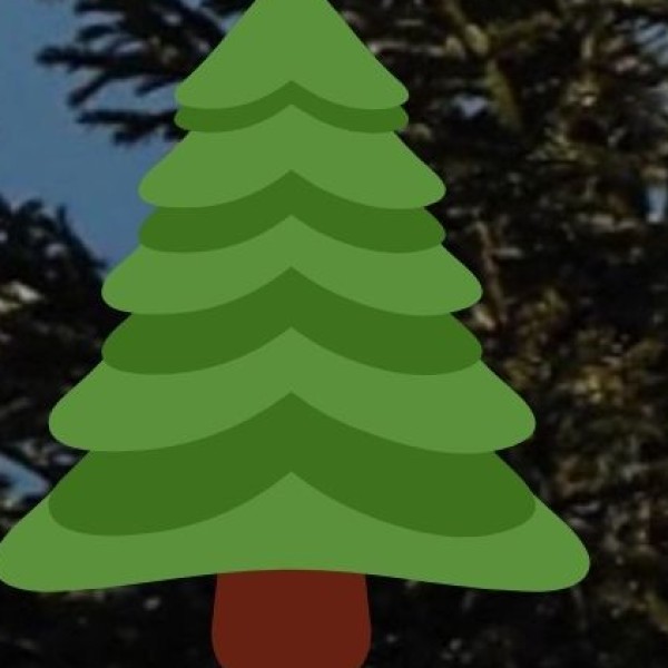 Dang Forest – The Green Heart of Gujarat