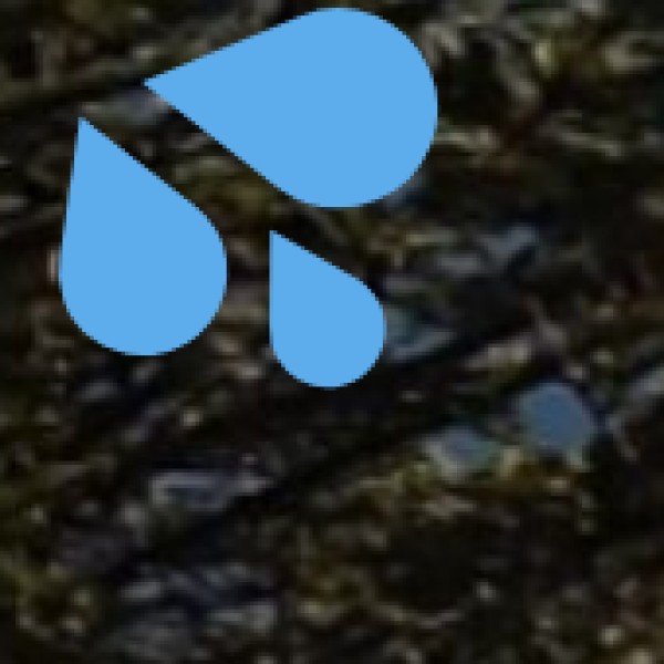 Exploring Waterfalls in the Western Ghats