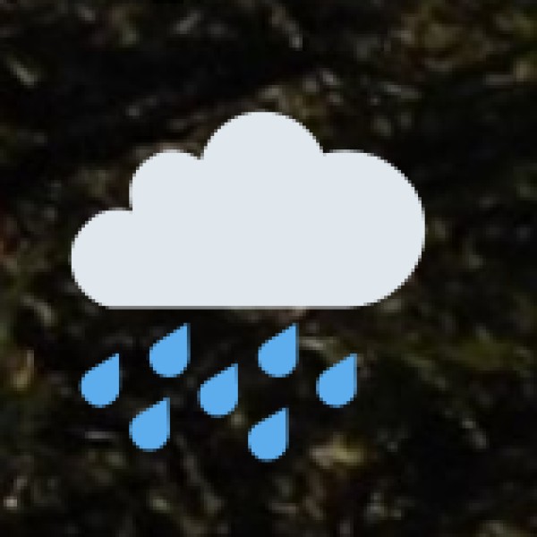 Mandu – The Monsoon Paradise