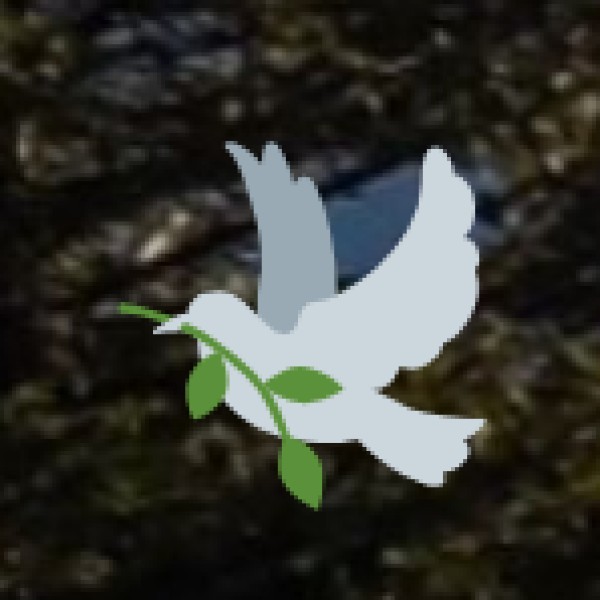 Unforgettable Experiences