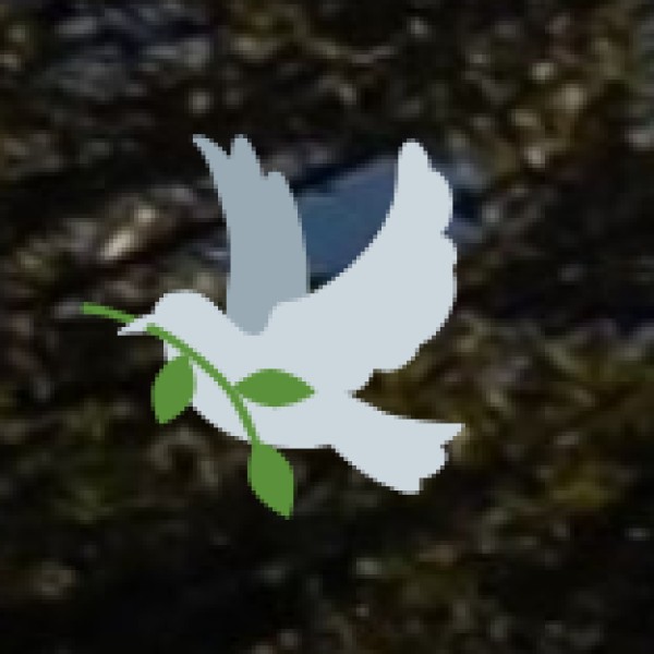 Manali – A Romantic & Adventure Paradise