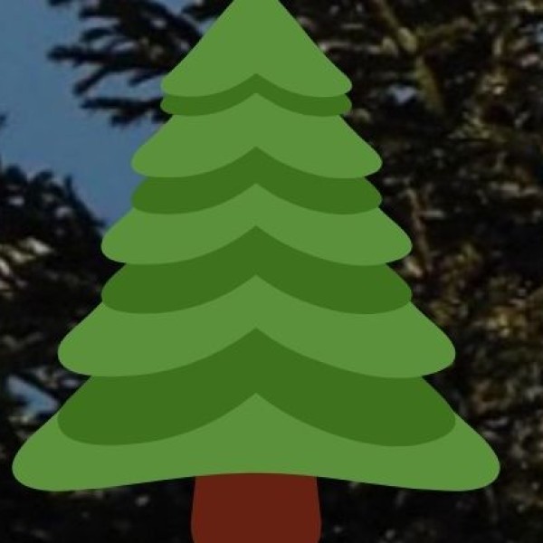 Must-Do Experiences in Tamil Nadu