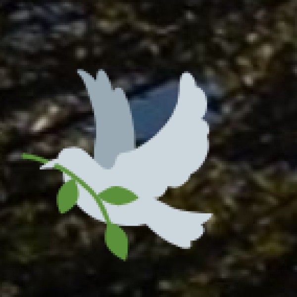 Hawa Mahal (Palace of Winds), Jaipur