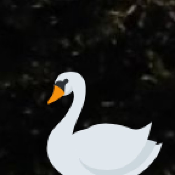 Wilson Hills – The Mini Saputara of Gujarat