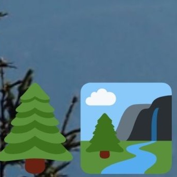 Mesmerizing Landscapes & Himalayan Beauty