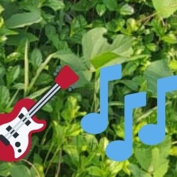 Music & Dance:
