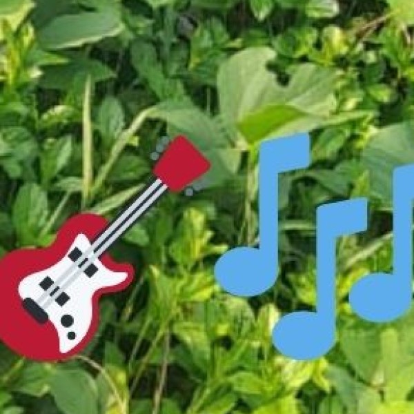 Meghalaya’s Unique Music & Dance Traditions