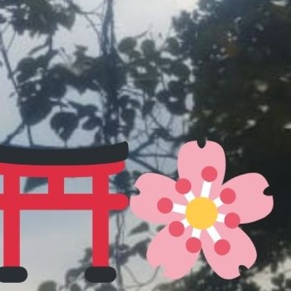 Cultural Harmony
