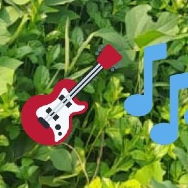 Carnatic Music & Classical Arts