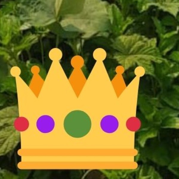 Why Is Rajasthan Called the “Land of Kings”?