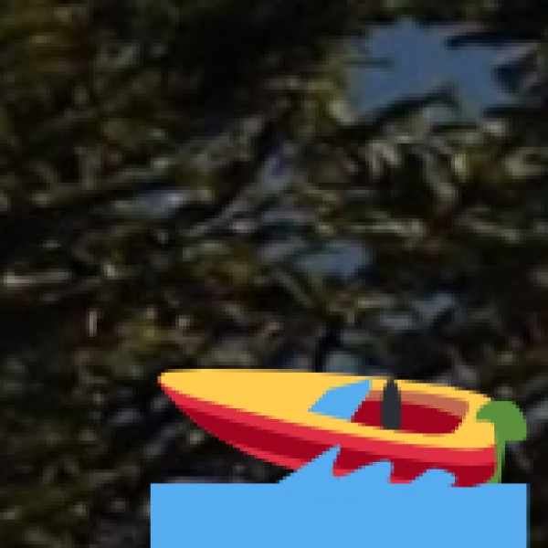 Hirekolale Lake – Chikkamagaluru