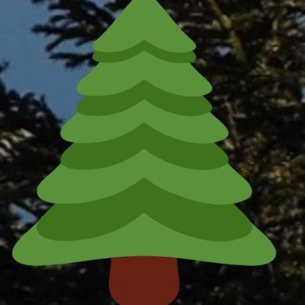 . Mirpal Tso & Ryul Tso – The Offbeat Beauties