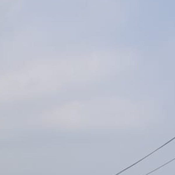 Best Birdwatching Destinations