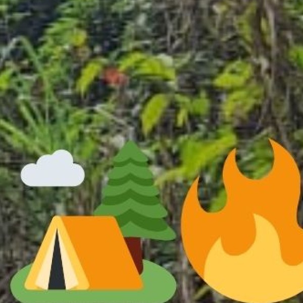 Siliserh Lake – Alwar