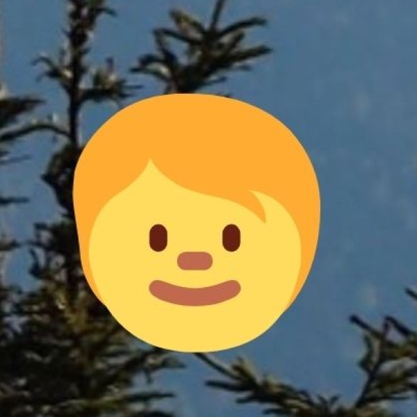 Government & Eco-tourism Initiatives