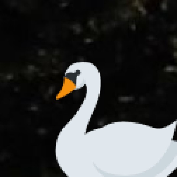 Popular Activities Around Lakes