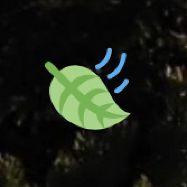 Yusmarg – Kashmir’s Mini Switzerland