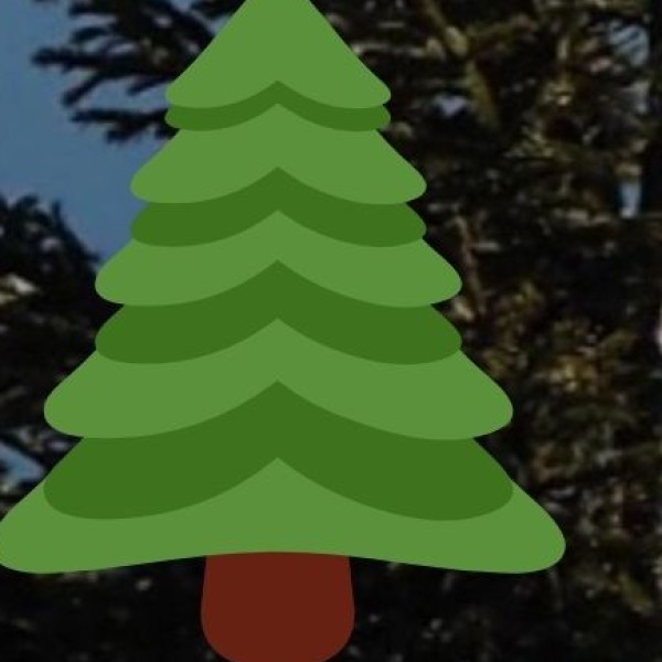 Lakes & Scenic Views in Assam