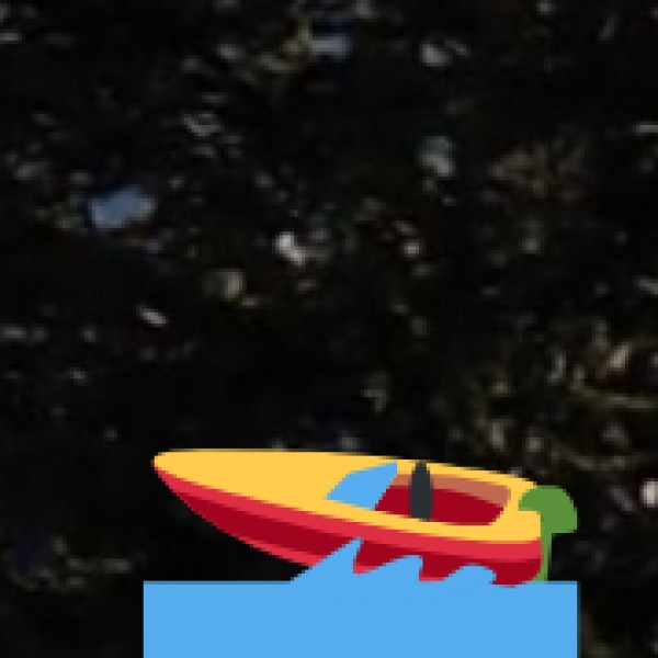 Kinnerasani Lake – A Serene Spot in the Wilderness