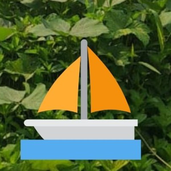 Tso Moriri – A Tranquil High-Altitude Haven