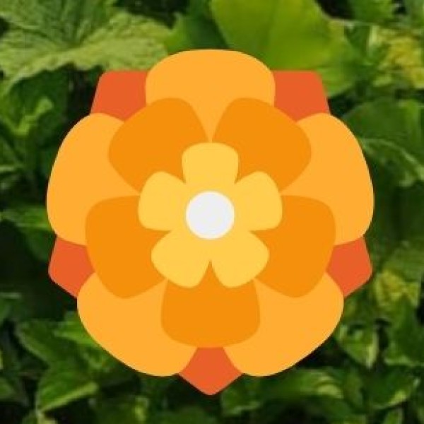 Pankang Teng Tso Lake – A Hidden Gem in Tawang