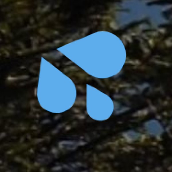 Wular Lake (Bandipora) – India’s Largest Freshwater Lake