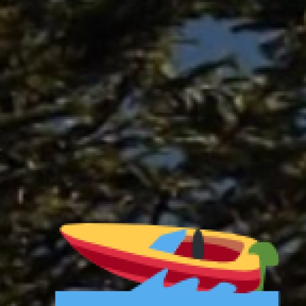 Kinnerasani Lake – A Serene Spot in the Wilderness