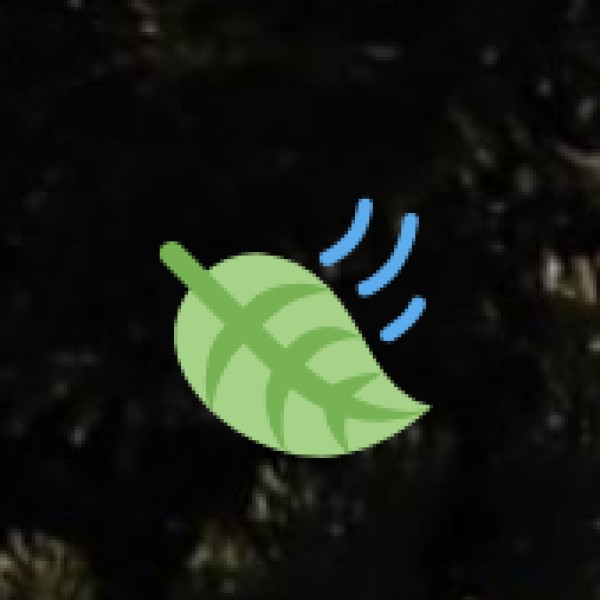 • Nohkalikai Falls Viewpoint (Cherrapunji):