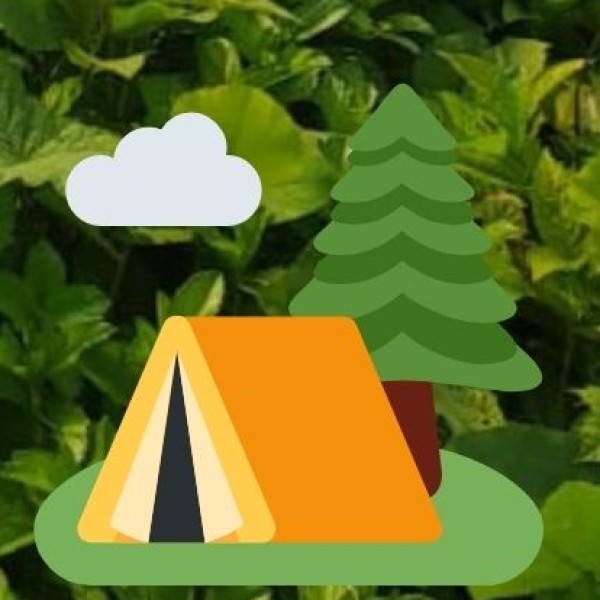 • Palitana Hill (Shatrunjaya):