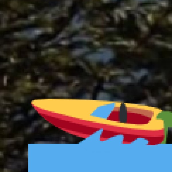 Road Trips & Scenic Drives