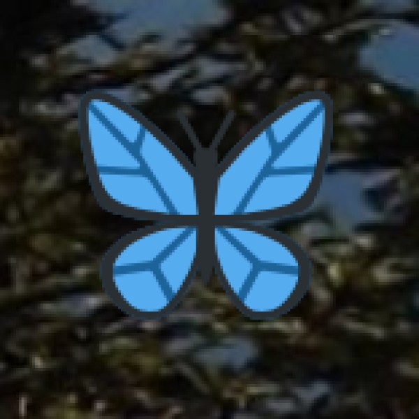 Nubra Valley (Ladakh) – The Cold Desert of India