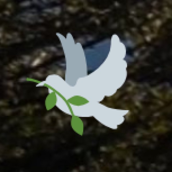 Top Scenic Viewpoints in Maharashtra