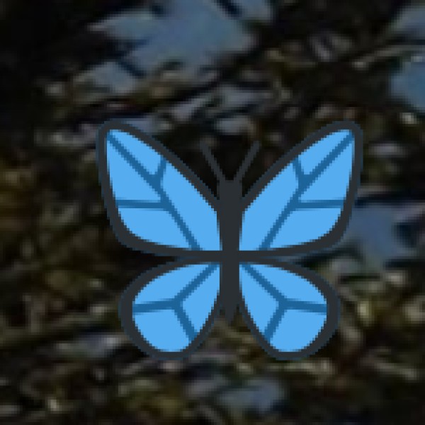 Fateh Sagar Lake – Udaipur