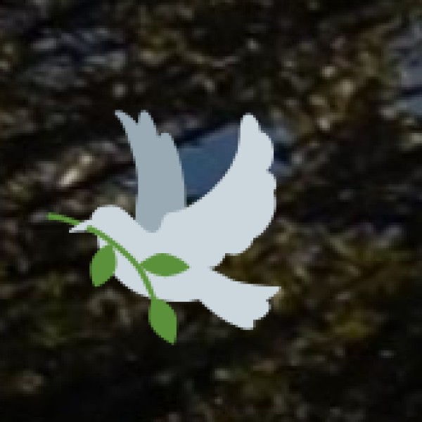 Ponmudi Hills – The Highland Birding Spot