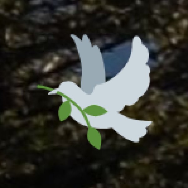 Shamirpet Lake – A Birdwatcher’s Paradise