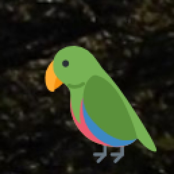 Shendurney Wildlife Sanctuary – The Offbeat Birding Destination