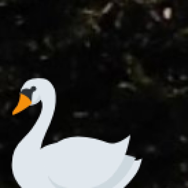 Ecological Importance of Gujarat’s Lakes