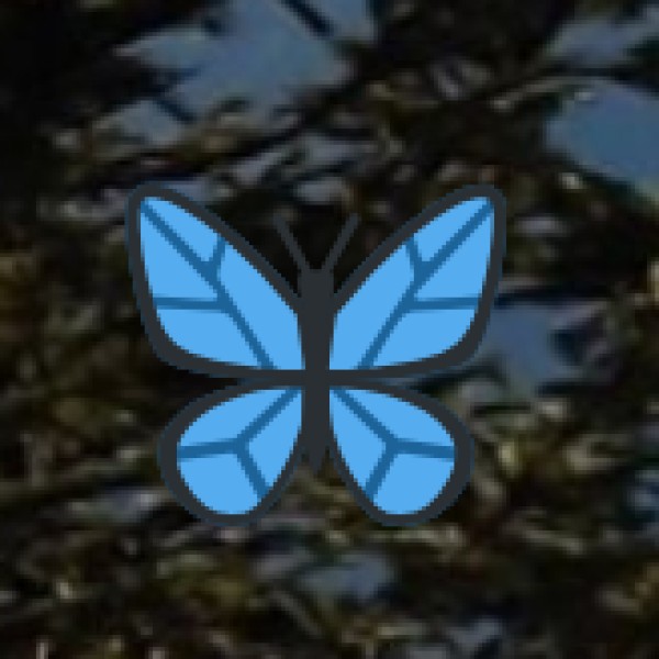 Lakes & Scenic Views in Delhi