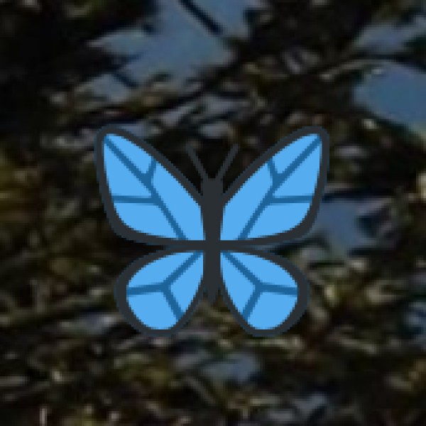 Lakes in Tamil Cinema & Popular Culture