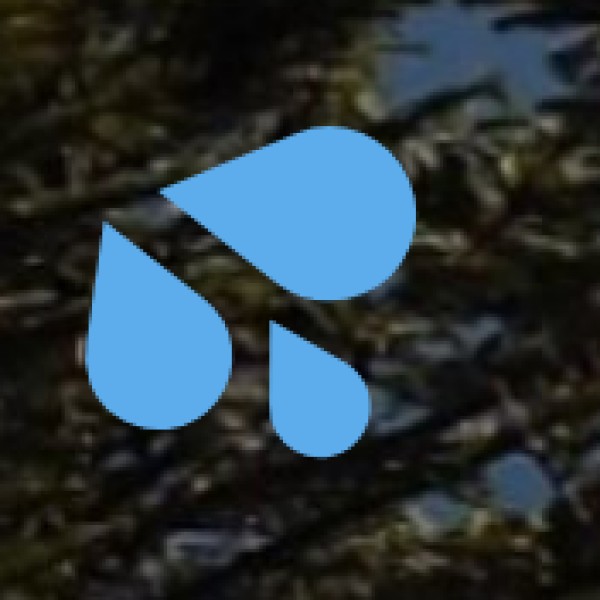 Lakh Bahosi Lake (Kannauj)