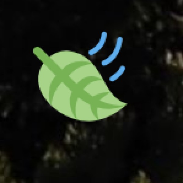 Activities to Enjoy at Lakes & Scenic Spots