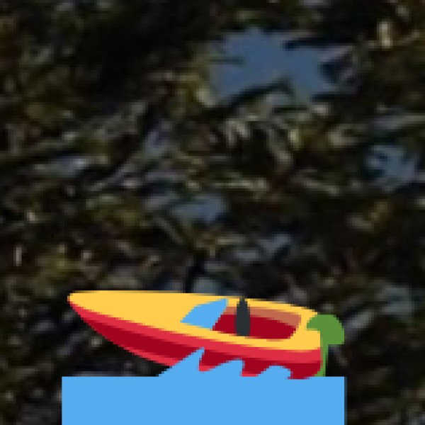 Beautiful Lakes in Meghalaya