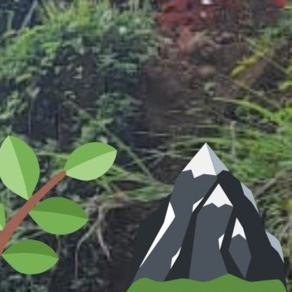 Benreu Village – Misty Mountain Charm